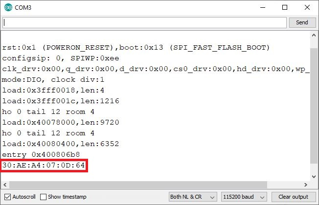 ESP32 MAC Address Serial monitor page